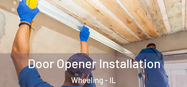  Door Opener Installation Wheeling - IL