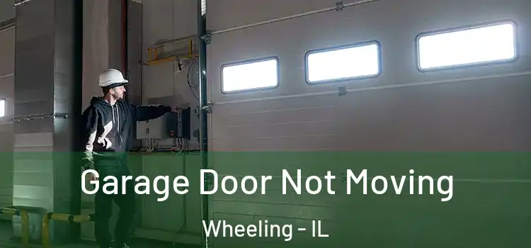  Garage Door Not Moving Wheeling - IL