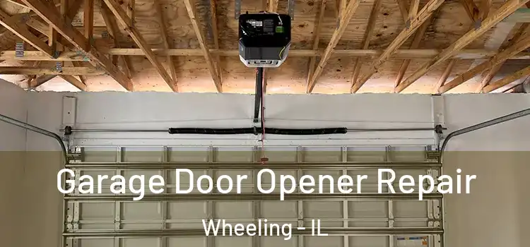  Garage Door Opener Repair Wheeling - IL
