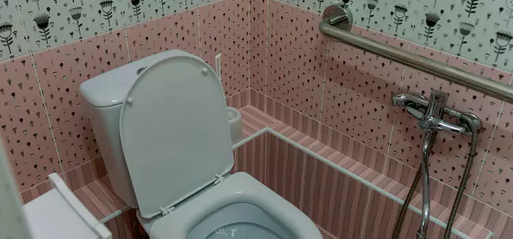 Meeting Diverse Needs With Accessible Restroom Solutions in Wheeling, IL