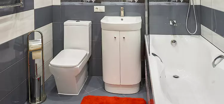 Hansgrohe Shaving Mirror Wheeling