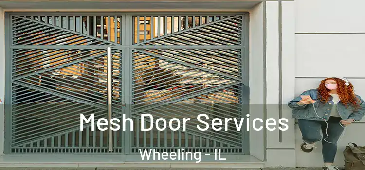 Mesh Door Services Wheeling - IL