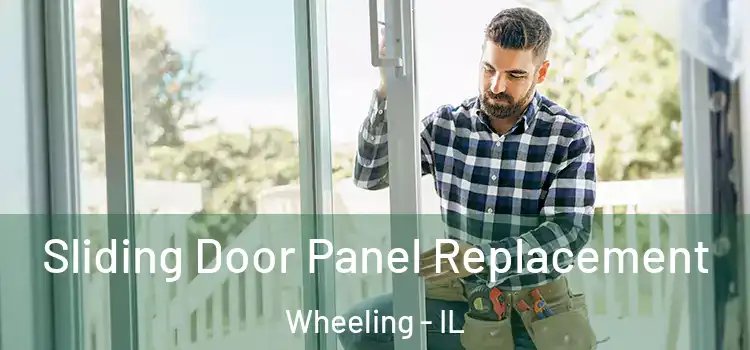  Sliding Door Panel Replacement Wheeling - IL
